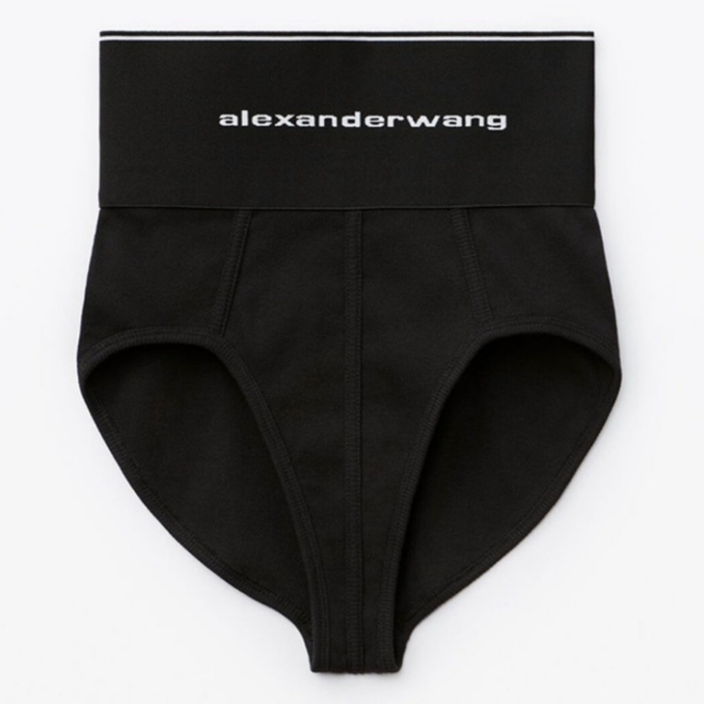 SOLD Alexander Wang Logo Elastic Underwear